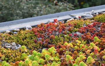 the cost of Coln St Dennis green roof installation
