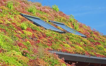 Coln St Dennis living roof systems